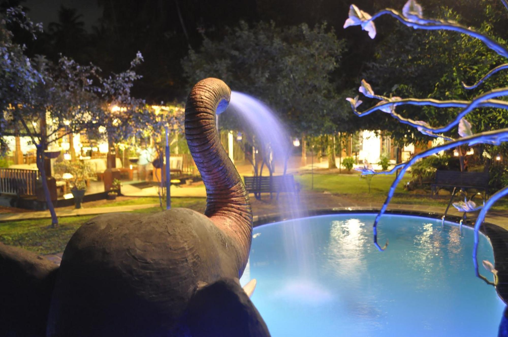 Villa 80 Bentota Bagian luar foto